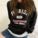 더미다움인셀덤 이미지