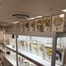 대전부케말리기 티니안플라워, 한 주 완성품 몰아보기! (10% 할인 꿀팁)