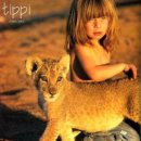 대화실비 이미지