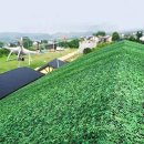 그늘막6 이미지