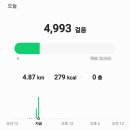 미라클태권도장 이미지