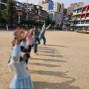 서울공항초등학교병설유치원 | 서울 성동구 사근초등학교 병설유치원 놀이교육 후기 감정놀이 프로그램 에피소드6 성장 ‘나무의 꿈...