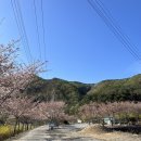 군위댐야영장 이미지