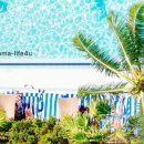 햇빛Hair 이미지