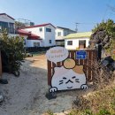 바다냥이네 | 제주 해맞이해안로 여행코스 추천, 카페 제주냥이에서 힐링하기 🐱