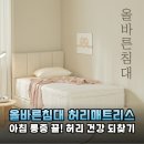 허리 건강 지키는 올바른 침대 바른 허리 매트리스 SS 하드 솔직 후기