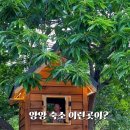오륙에스티 이미지