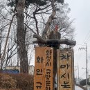 차마시는 뜰 화인규방