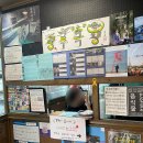 광주 가볼만한곳 옛날감성 그대로인 광주극장(광주) 영화관 추천
