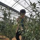 가영농장 이미지