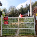 별이빛나는집 이미지