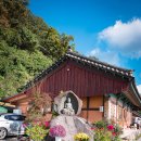 곡성-264 이미지