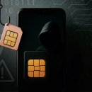 송탄공원로 | [송탄휴대폰] eSIM시대 정직폰!