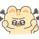 브리즈스튜디오 이미지