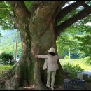 진천 보련산/웅장하고 멋진 3층목탑/정갈하고 신비스런 사찰 보탑사 이미지