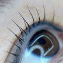 한들1로 | 천안 속눈썹펌 잘하는곳 온유어브로우 방문 후기