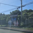 혼인지마을 | 제주도 가을 혼인지 축제 안내와 축제전 방문 후기입니다