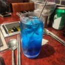 낭만애견 이미지