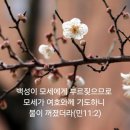 원망과 불평을 들을 때 이미지