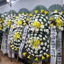 한마음의료재단여수제일병원 네이버블로그