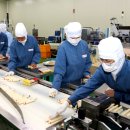 푸드위드 이미지