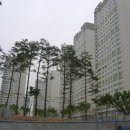 세종1차아파트 이미지