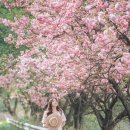 꾀꼬리봉 화장실 이미지