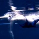 GOGO SWIMMING 이미지