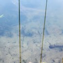 용풍낚시터 이미지