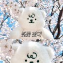 우리영농조합법인(농민주유소) | 4월 13일 간추린 뉴스