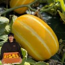 정용농장 네이버블로그