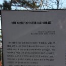 운대암 Daum카페