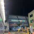 링고카레 이미지