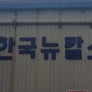 한국뉴칼스 이미지
