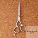 제이 애견 미용 이미지