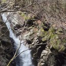 지리산봄날 이미지