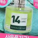 허브세차