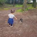 킹스통나무 이미지