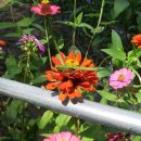 크린데이 이미지