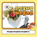 메리플라워 | 안성꽃집 메리플라워 결혼 축하 꽃다발 만족 후기 (안성 시내)