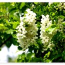 경상남도 산촌유학교육원 이미지