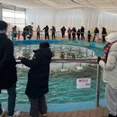 수서역 제1 자전거보관소 | 평창송어축제 2026 주말 현장 예매 오픈런 꿀팁과 얼음낚시 후기