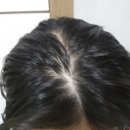 홍익약국 | 약국화장품 추천템 브이티 PDRN 헤어앰플 &amp; 에센스 RX