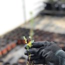 원복농장 이미지