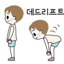 부평PT 오늘의운동 이미지