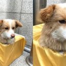 기다리다 이미지