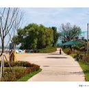 성성호수공원 이미지