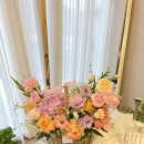 사림동294 이미지