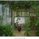 디자인모티프 이미지