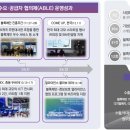 체인정보